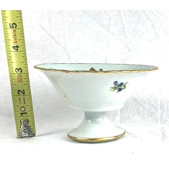 Limoges Dining Vintage Limoges Pedestal Footed Floral Porcelain